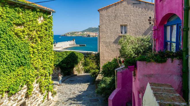 Appartement T3 Hippocampe -Jardin -Piscine -Garage -Clim à Collioure Extérieur photo